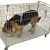 DOGTRAP 1200 x 700 x 650 mm